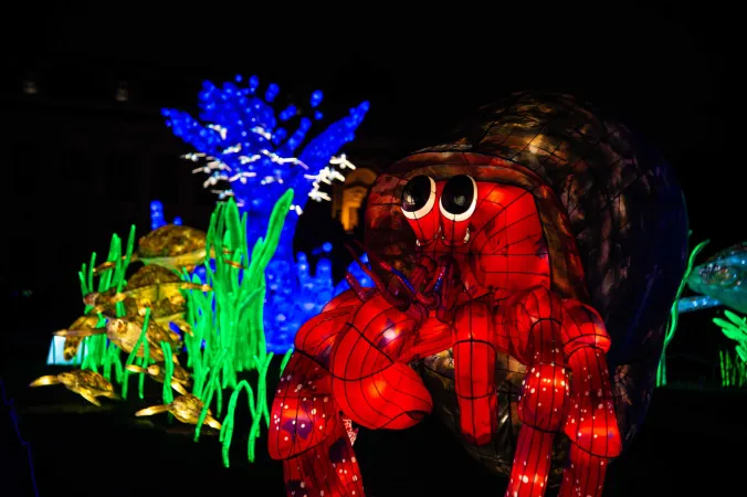 Océan en voie d’illumination © MNHN - F.-G. Grandin