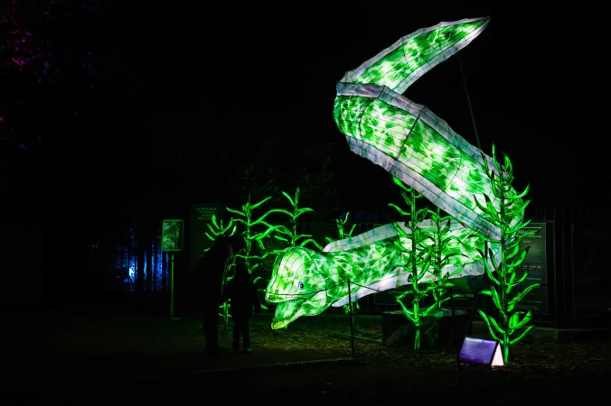 Océan en voie d’illumination © MNHN - F.-G. Grandin