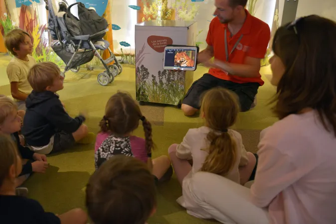 Médiation dans la Galerie des Enfants du Muséum