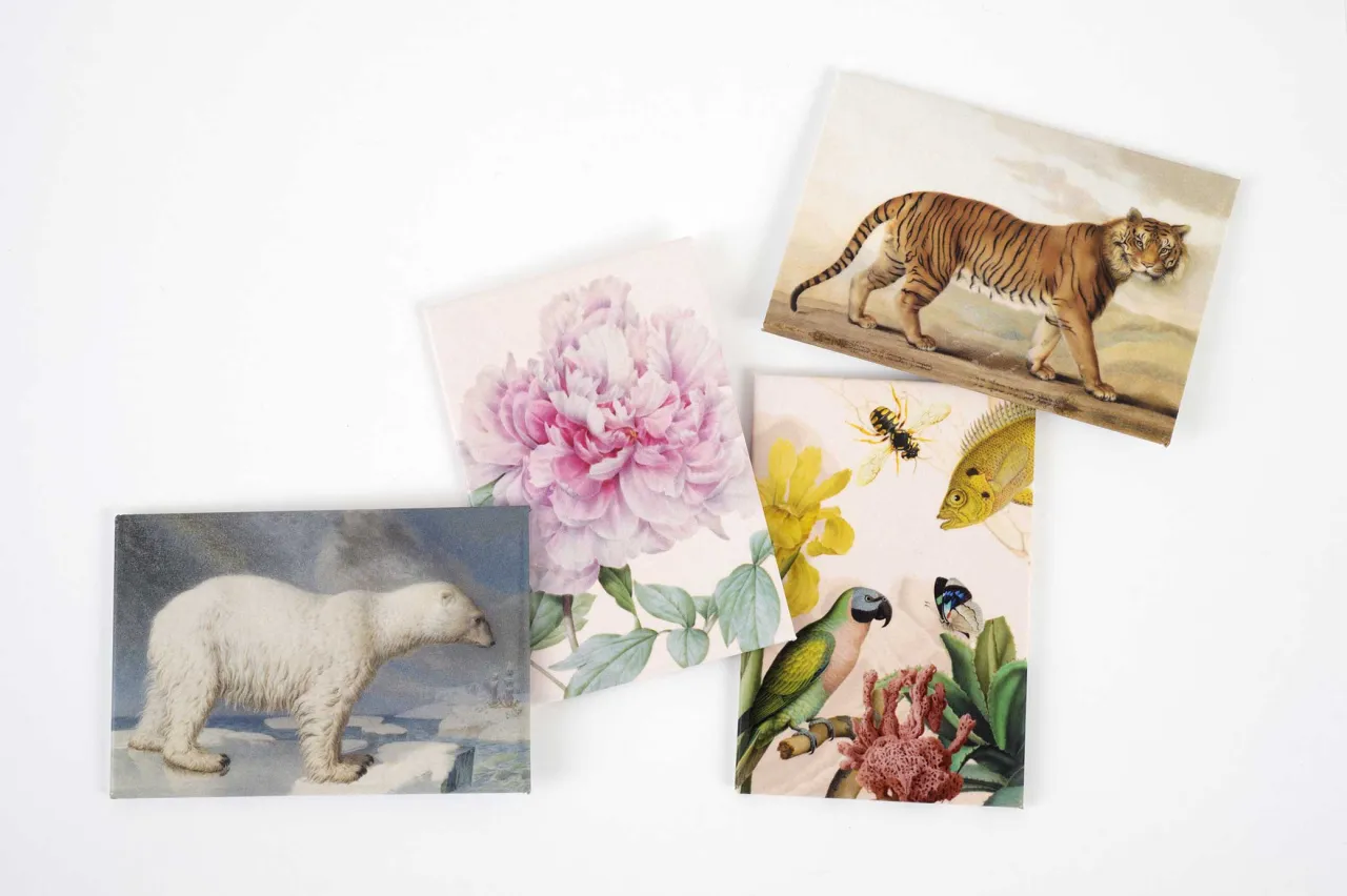 Carnets vendus à la boutique du Muséum.