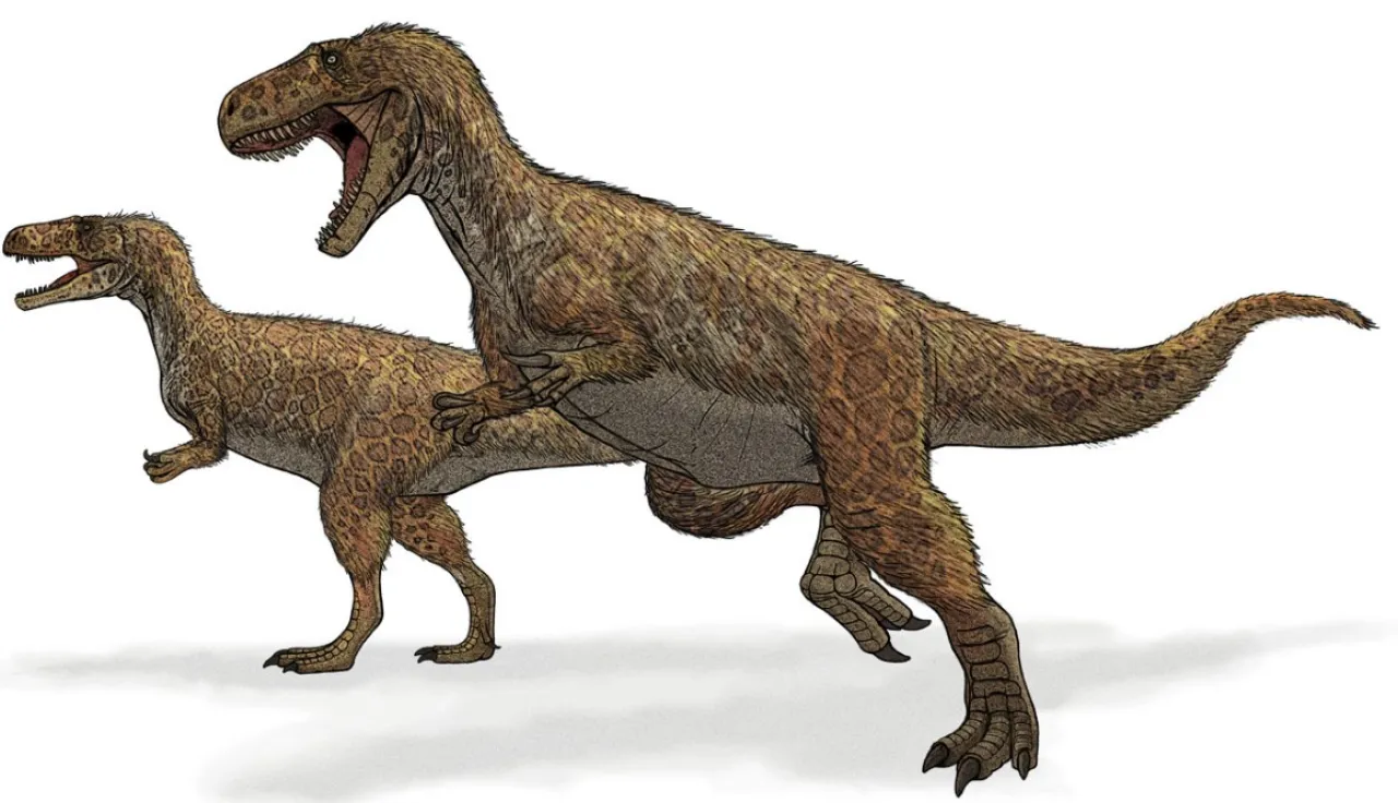 Illustration de dinosaure bipède.