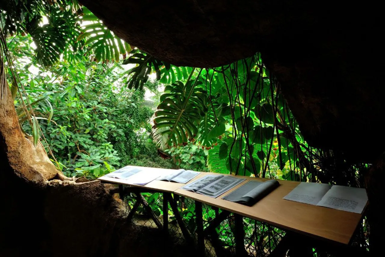 Ediciones del exotismo ordinario internacional neotropical de Julia Rometti et Victor Costales © MNHN - F.-G. Grandin