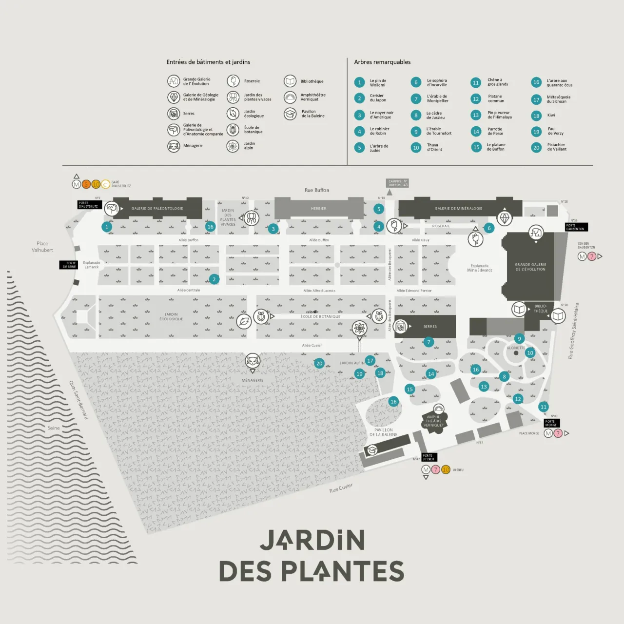 Les arbres remarquables du Jardin des Plantes