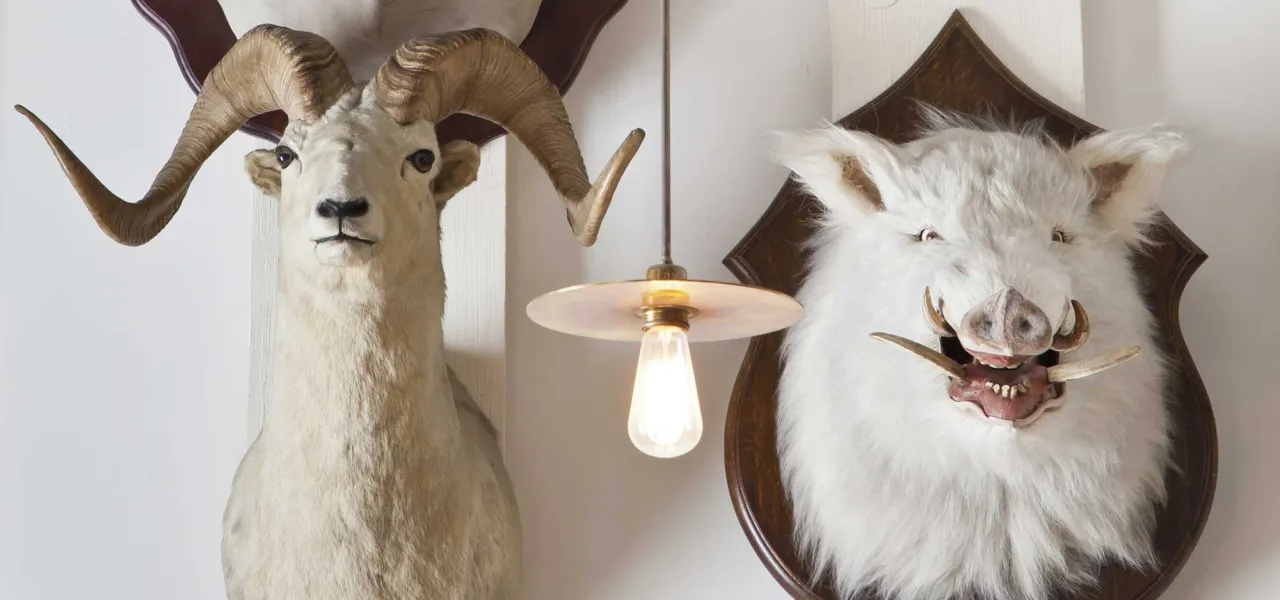 Têtes d'animaux