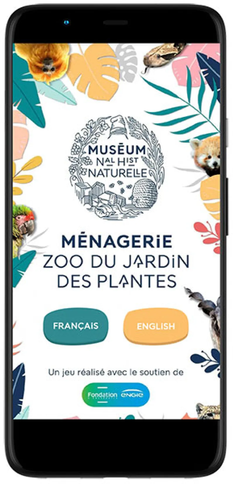 Mockup webapp ménagerie