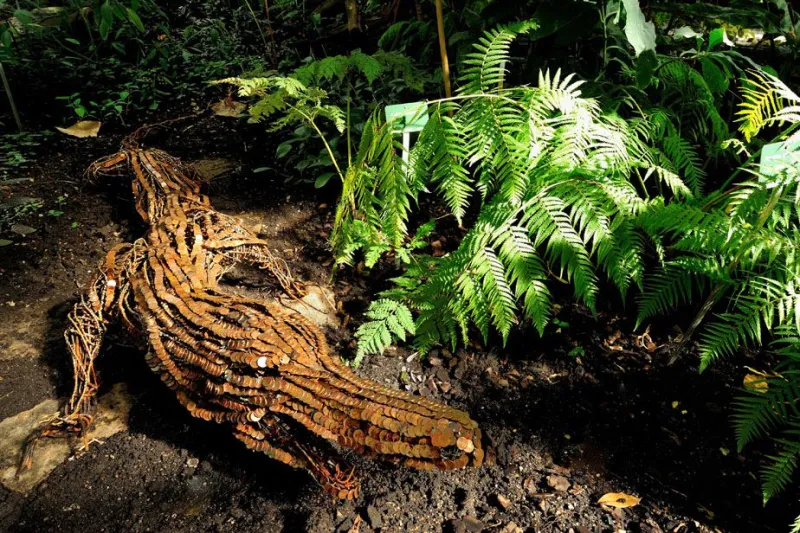 Crocodile en pièces (tronc cérébral, le cerveau reptilien) par Lionel Sabatté © MNHN - F.-G. Grandin