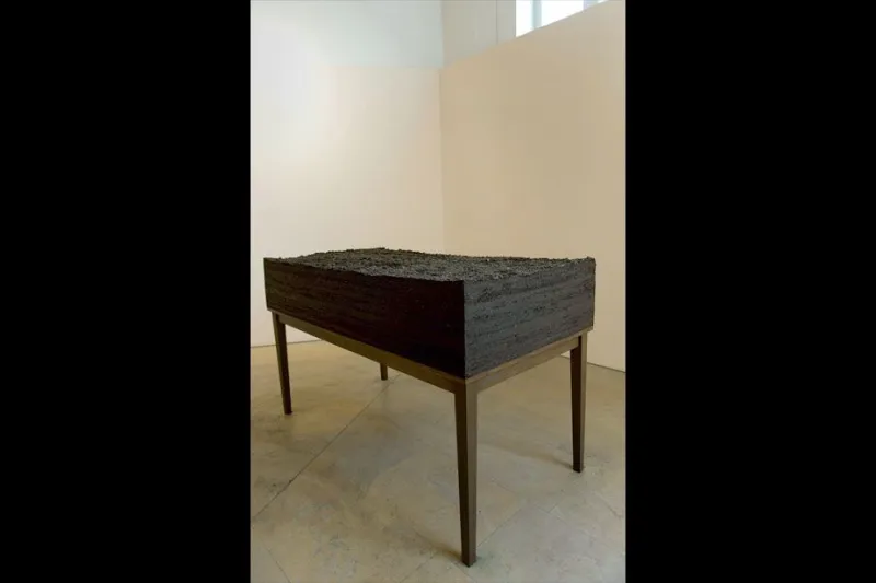 Dirt/Table. Une œuvre d'Abbas Akhavan, 2005-2013. FIAC Hors les murs, Jardin des Plantes, MNHN, 2013 © Marc Domage