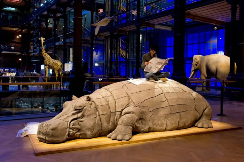 Hope Hippo. Une œuvre de J. Allora & G. Calzadilla, 2005-2013. FIAC Hors les murs, Jardin des Plantes, MNHN, 2013 © Marc Domage