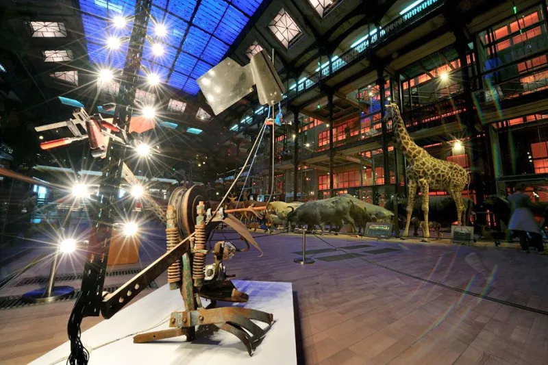 Le Veuf de la Bouchère de Jean Tinguely © MNHN - F.-G. Grandin