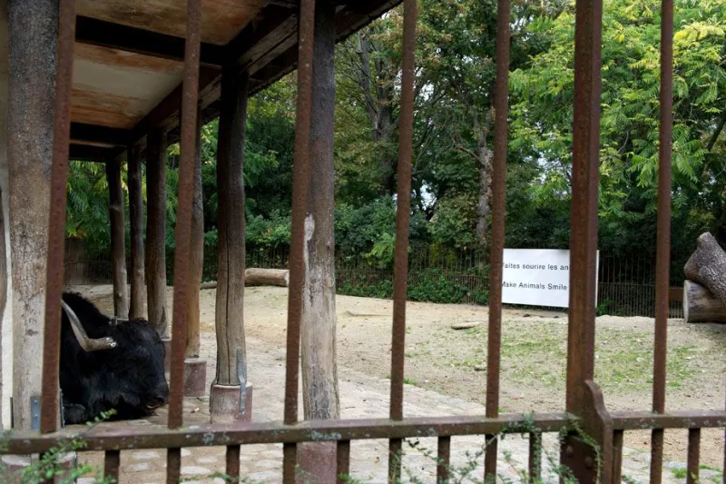 Make Animals Smile. Une œuvre de Shimabuku, 2011. FIAC Hors les murs, Jardin des Plantes, MNHN, 2013 © Marc Domage
