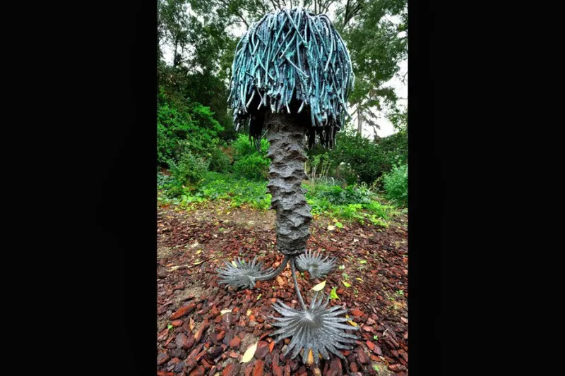 Top Roots d'Antoine Dorotte © MNHN - F.-G. Grandin