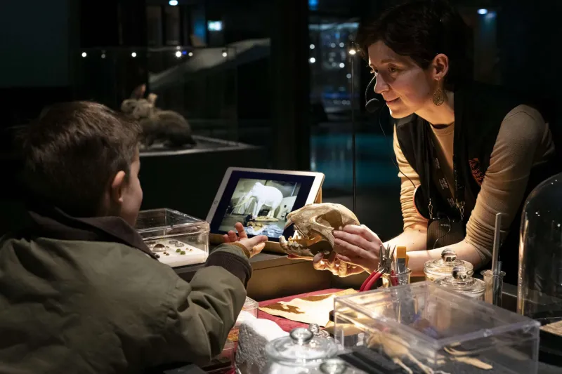 Animation visite Grande Galerie