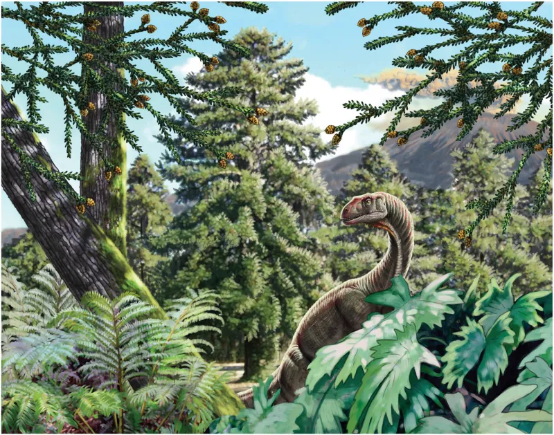 Dinosaure au long cou entouré de grands conifères et de fougères basses