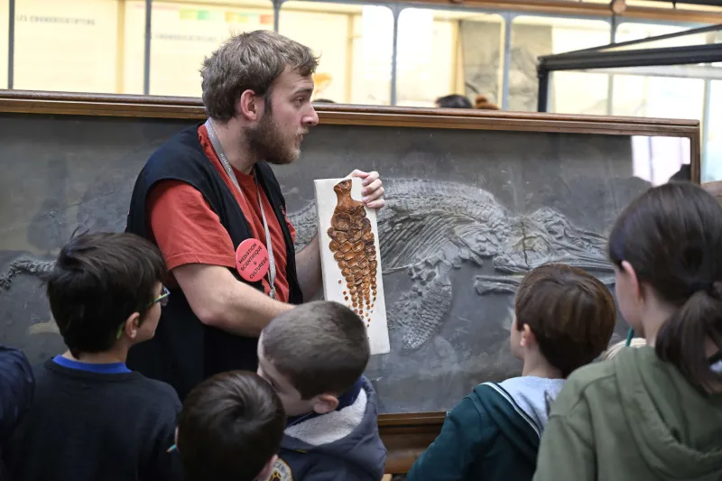 Visite Familles de la Galerie de Paléontologie et d'Anatomie Comparée
