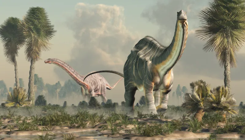 Deux grands dinosaures au cou long, capables d'atteindre la cime des arbres pour en manger les feuilles.