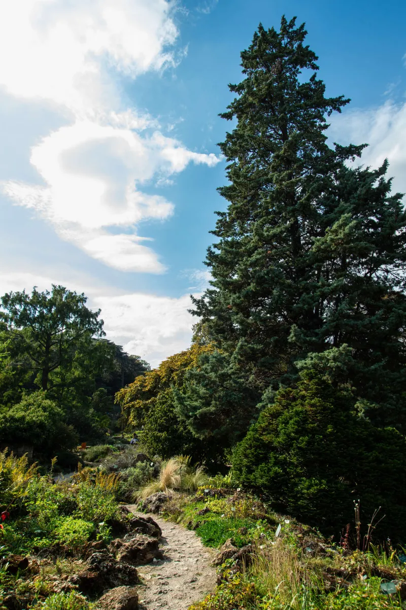 Le Jardin alpin