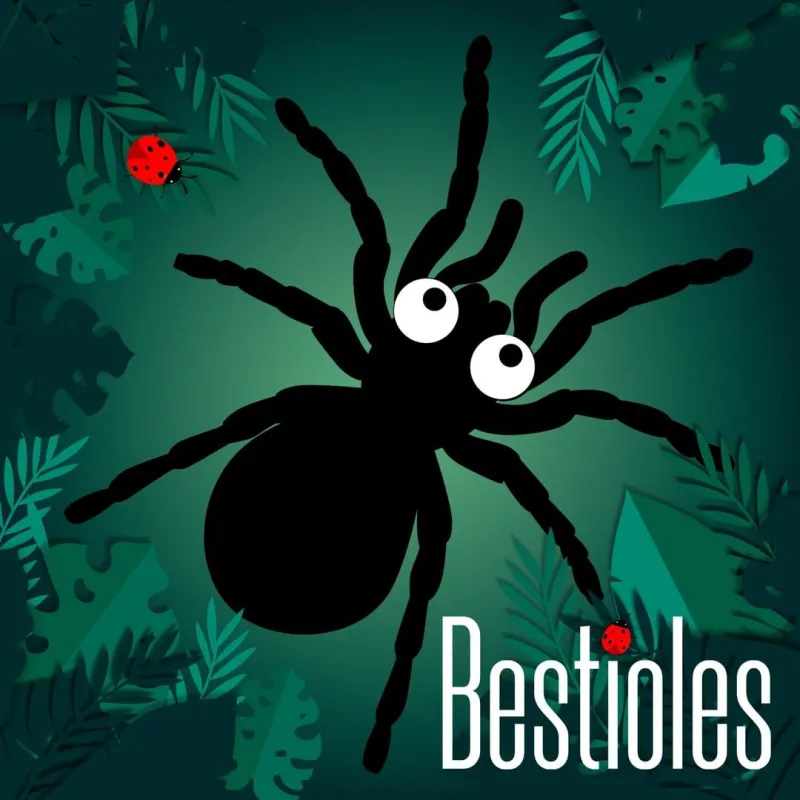 Bestioles - l'araignée