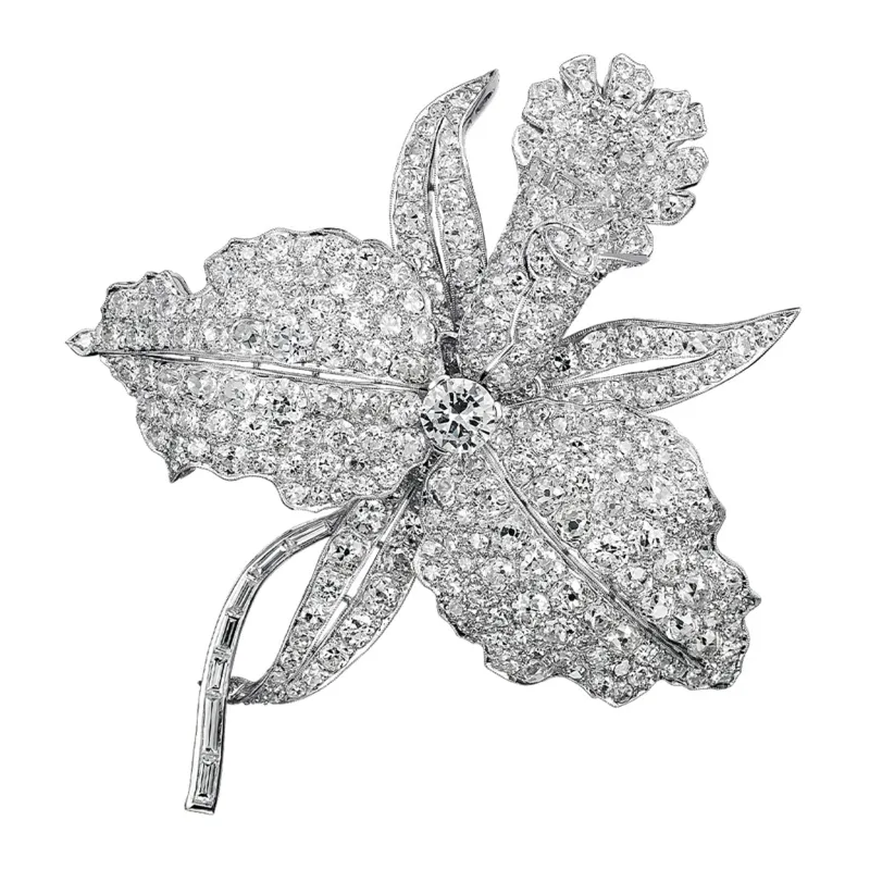 Clip Orchidées